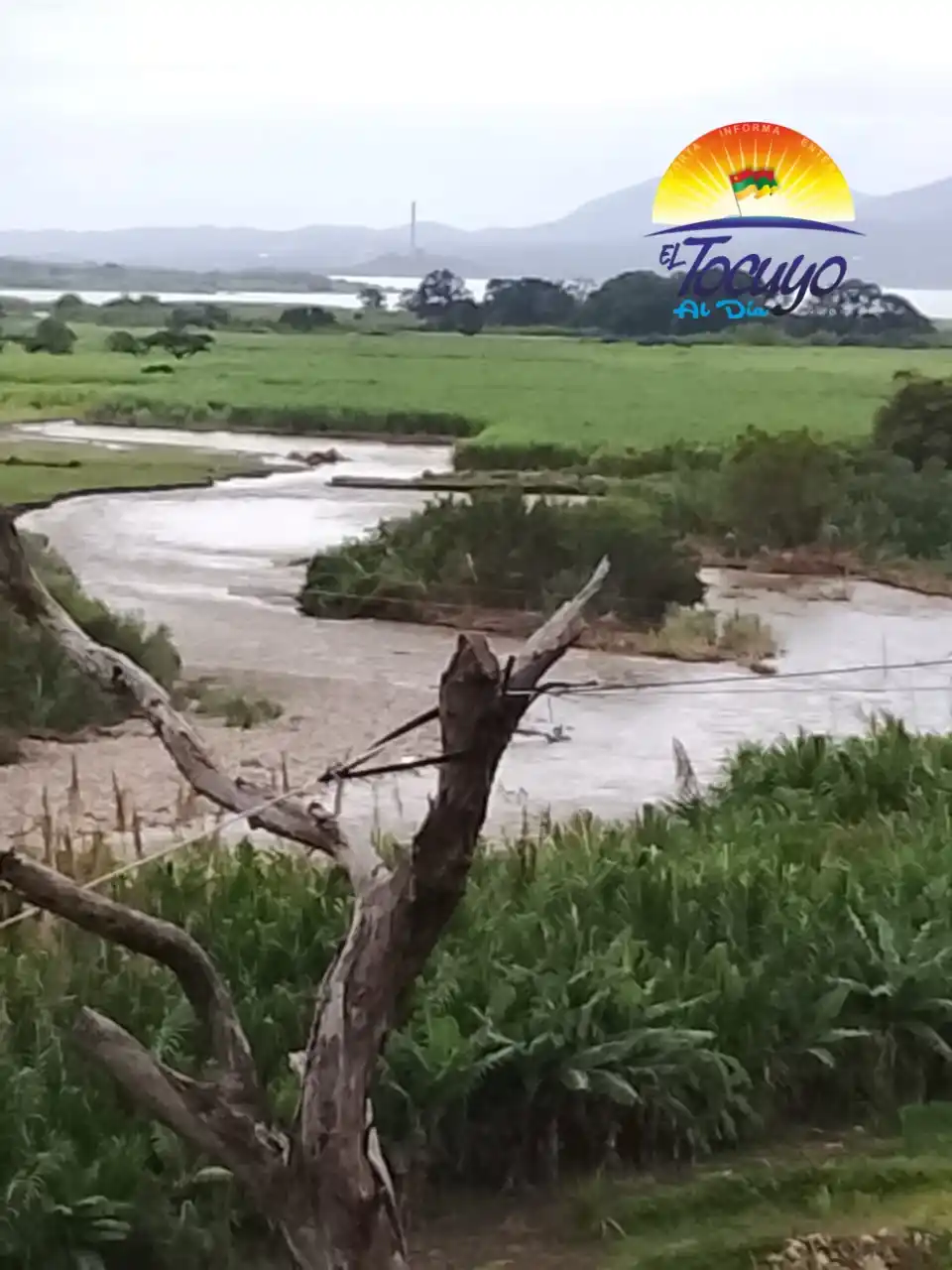 Image from Noticias ElTocuyoAlDia: *Asentamiento Campesino El Olivo Afectado por Desborde del Río Tocuyo*...