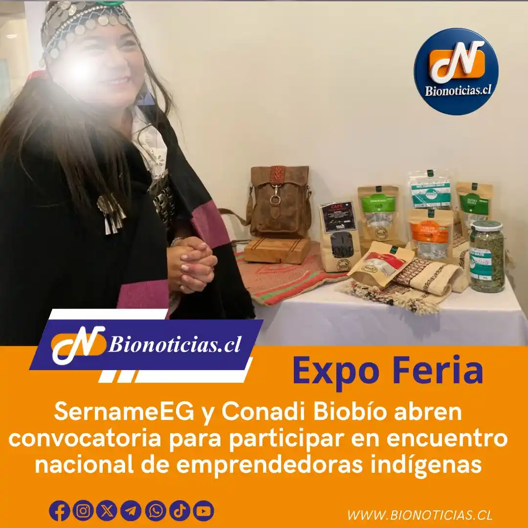 Image from Bionoticias.cl: 🚨 ¡Atención emprendedoras indígenas! SernamEG y Conadi Biobío abren c...