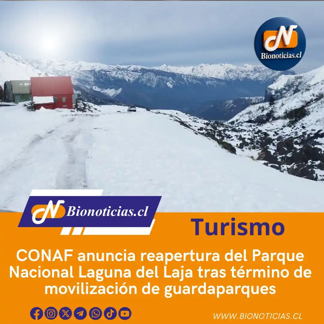 Image from Bionoticias.cl: 🌄 CONAF anuncia la reapertura del Parque Nacional Laguna del Laja Lue...