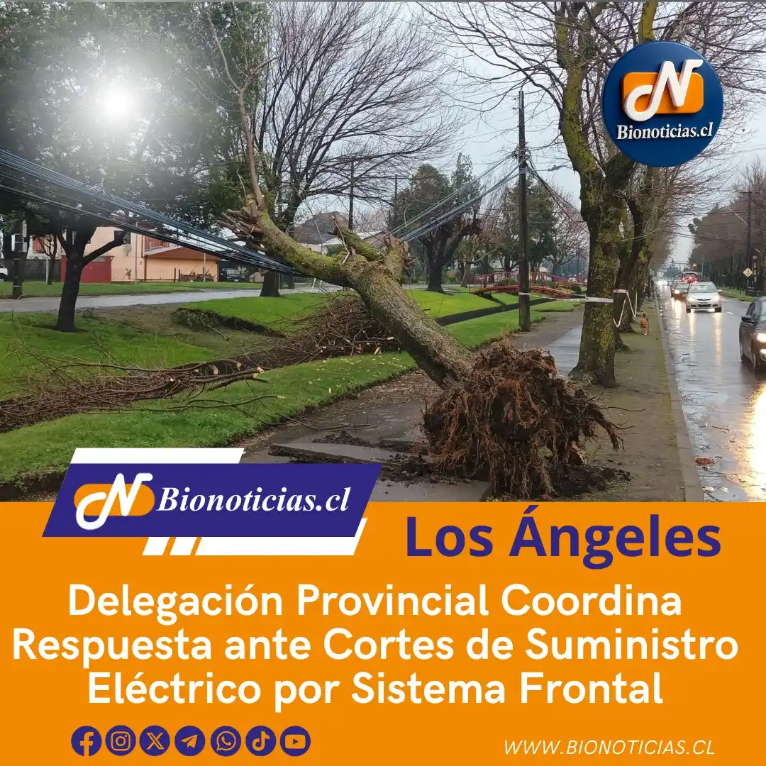 Image from Bionoticias.cl: 📢 Delegación Provincial coordina acciones por cortes eléctricos tras ...
