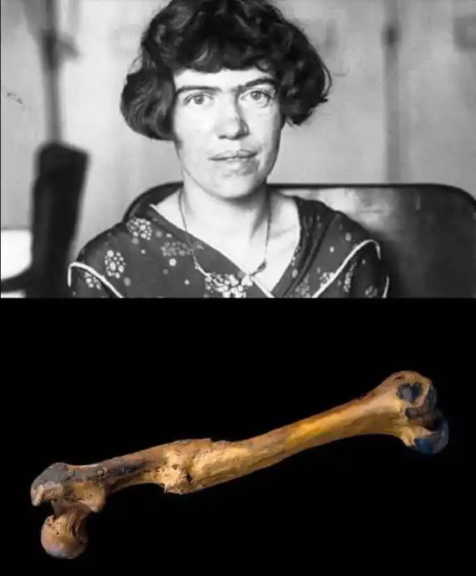 Image from München-steht-auf: Einmal wurde die berühmte Anthropologin Margaret Mead gefragt, wann au...