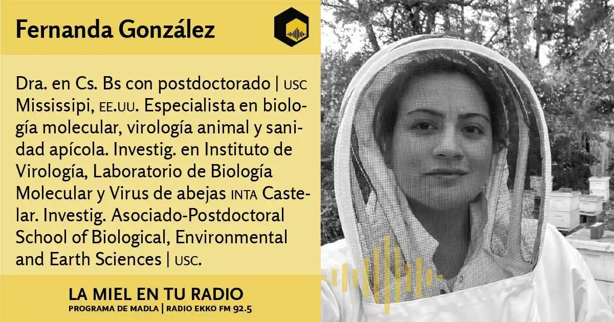 Image from La Miel en tu radio: Entrevista a la Dra. <a class="text-blue-500 hover:underline cursor-po...