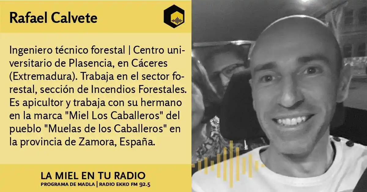 Image from La Miel en tu radio: Entrevista al ingeniero técnico forestal <a class="text-blue-500 hover...