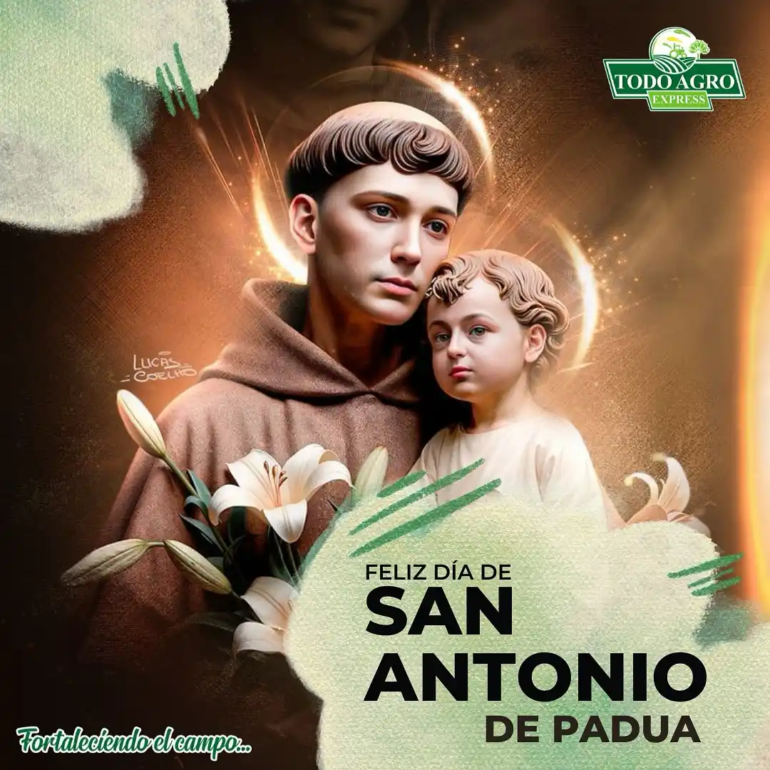 Image from Noticias ElTocuyoAlDia: 🥁🎉 Hoy celebramos las fiestas de San Antonio de Padua Desde *TodoAgr...