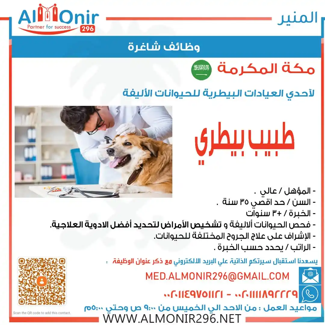Image from ALMONIR jOBS: للعمل بالمملكة العربية السعودية <a class="text-blue-500 hover:underlin...