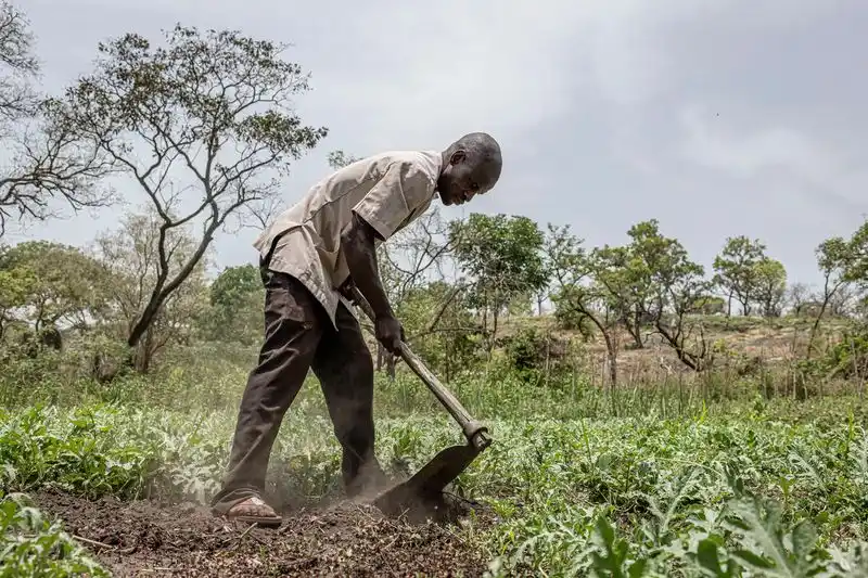 Image from Access Agric: Millions at risk of starvation without urgent action, UN report finds ...