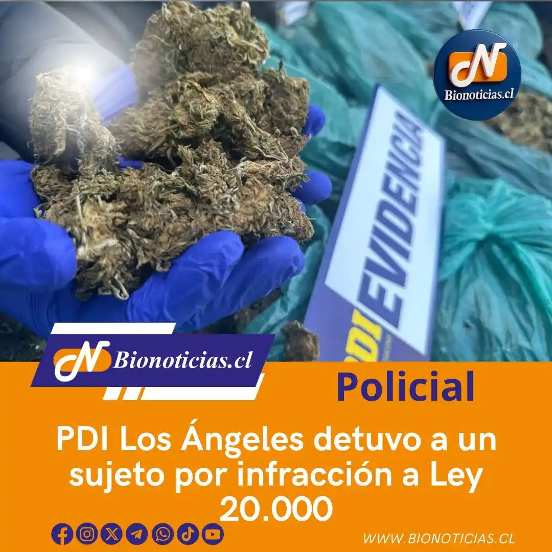 Image from Bionoticias.cl: 🚨 PDI Los Ángeles detuvo a un sujeto por infracción a la Ley 20.000 L...