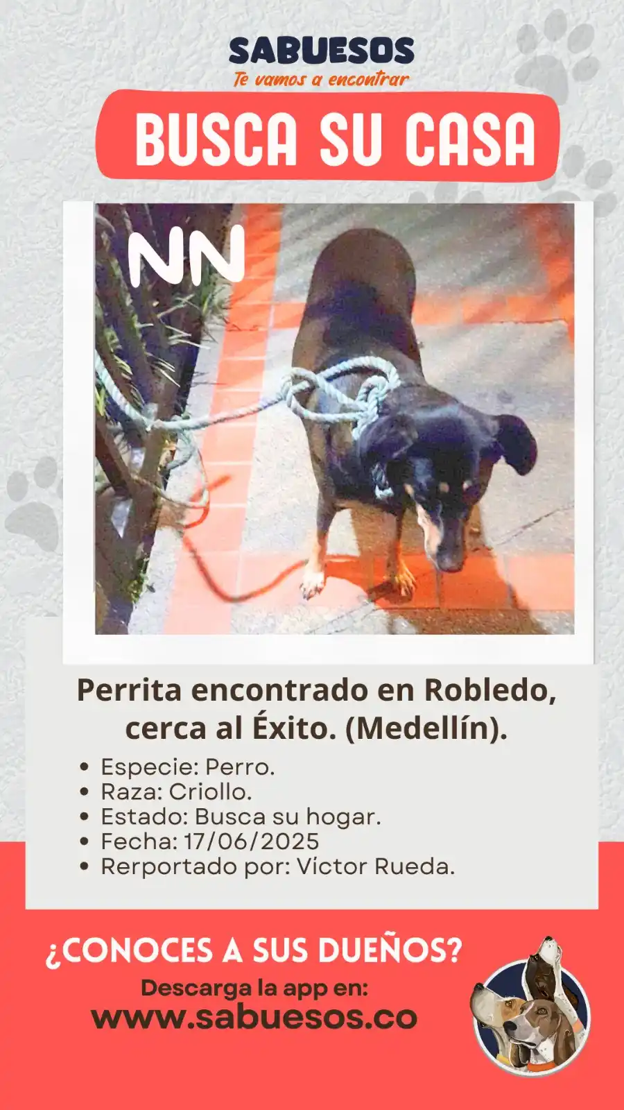Image from SabueSOS App Colombia: 🐶 *<a class="text-blue-500 hover:underline cursor-pointer" href="/has...
