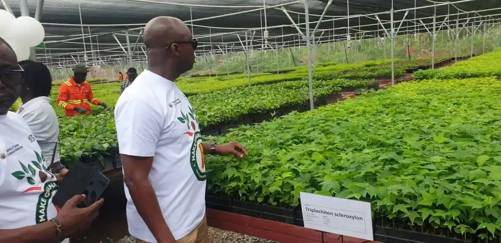 Image from Access Agric: Rainforest Builder unveils Africa’s largest indigenous tree nursery in...