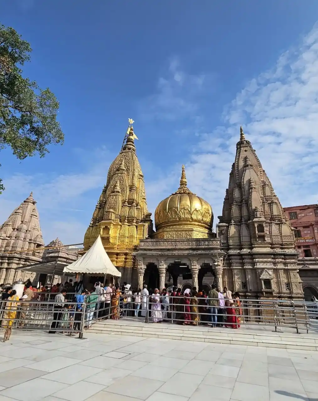 श्री काशी विश्वनाथ ऋषि प्रसाद सेवा दर्शन post