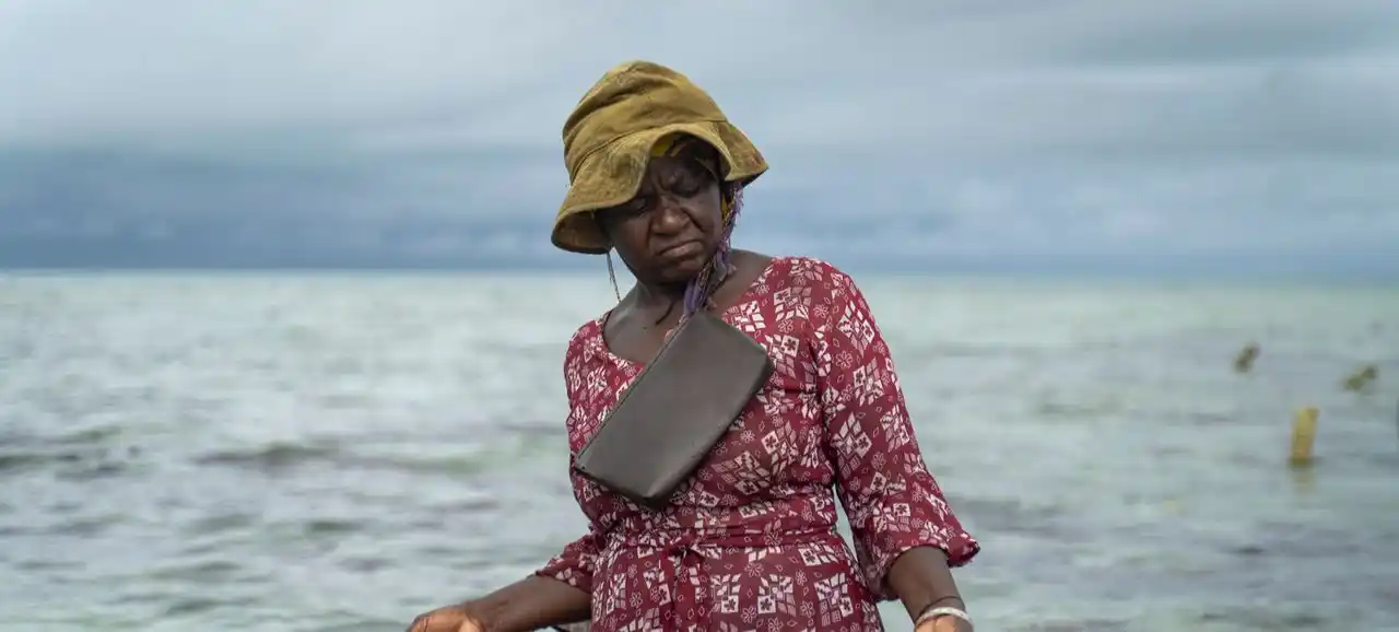Image from Access Agric: UNEP and FAO Recognize Ocean Restoration Efforts in Africa, Europe, an...