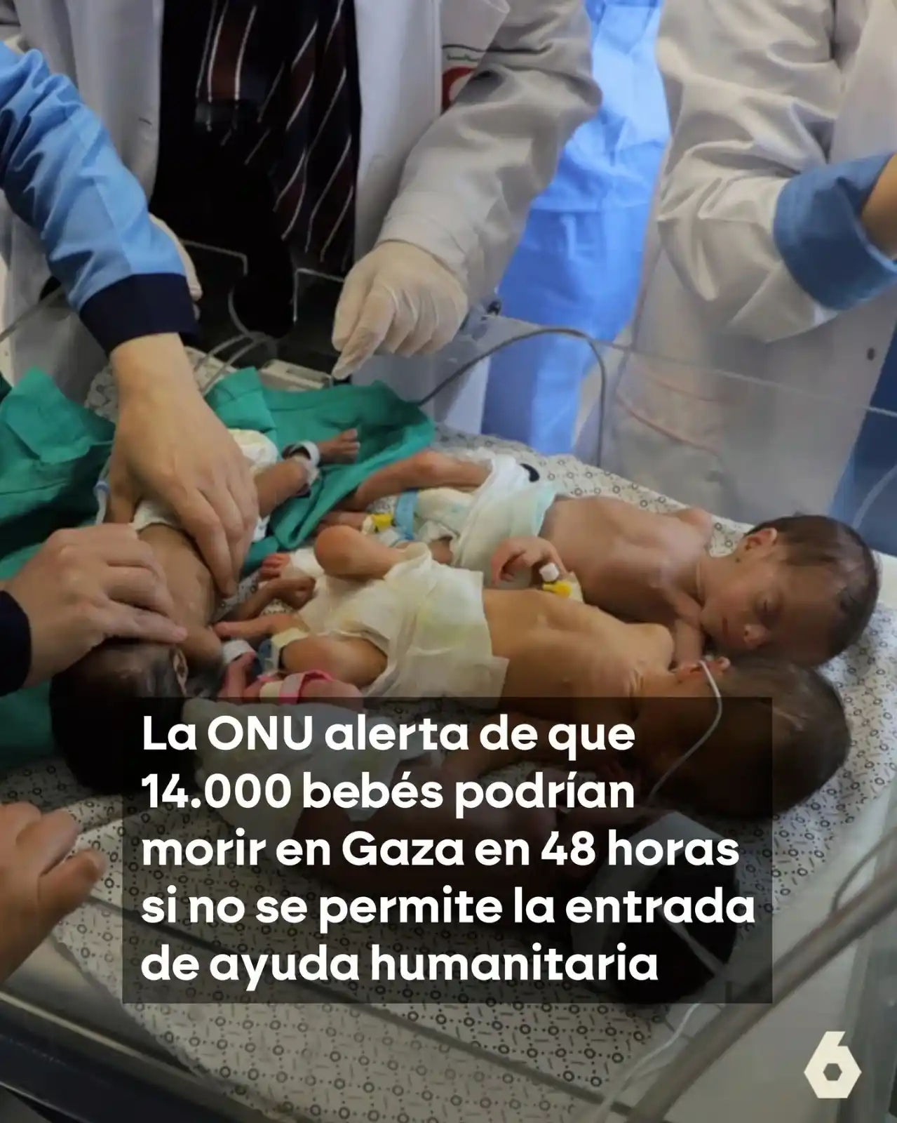 Image from PACMA: 💪El compromiso del Partido Animalista con los derechos humanos es ina...