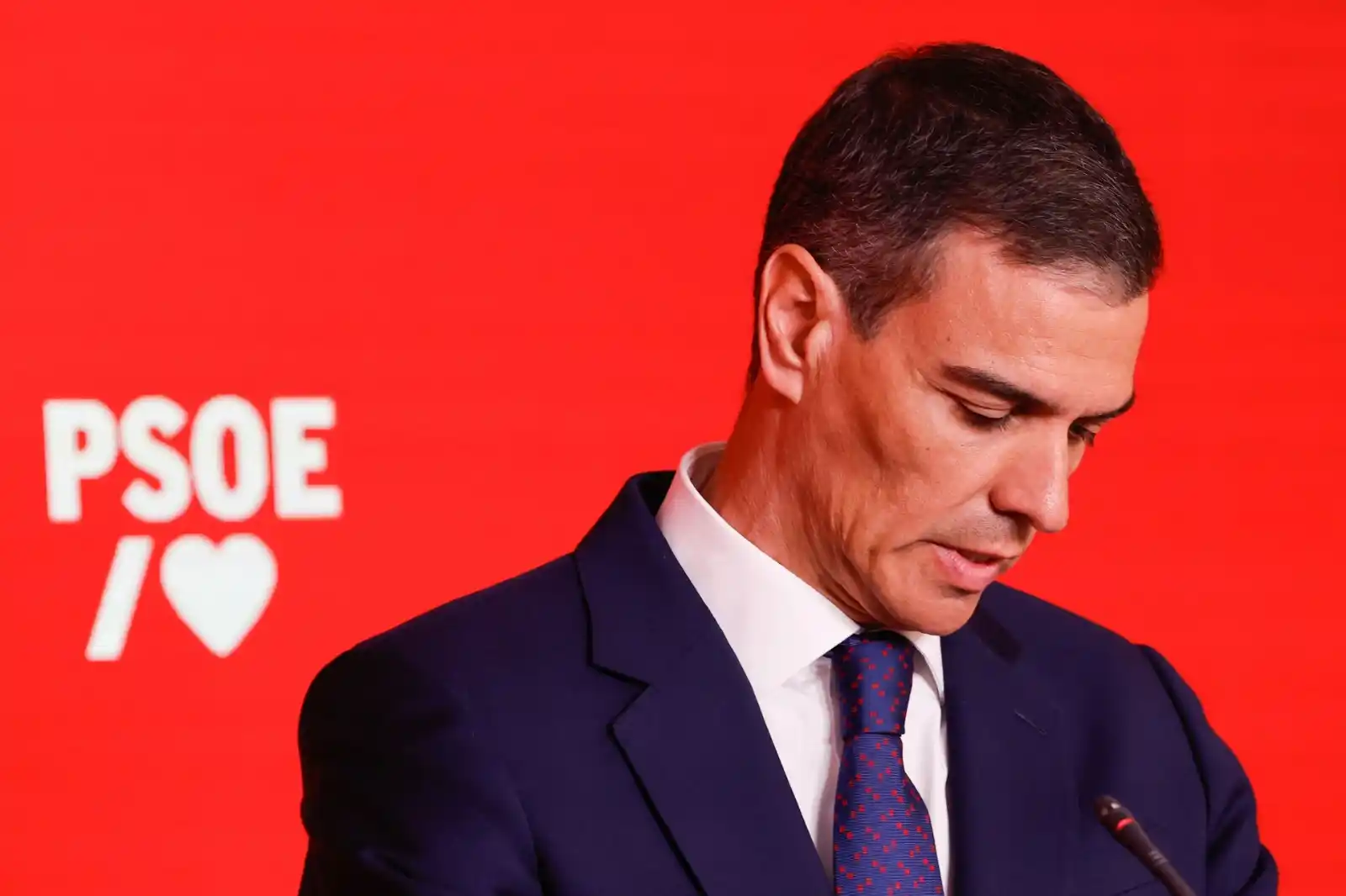 Image from El Diario Vasco: Gabon! ¡Buenas noches! 🙏🏻 *Política*: Sánchez pide perdón por conf...