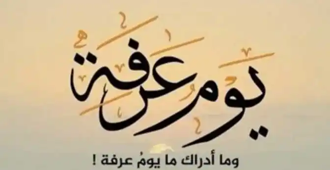 مستضاء 💡. post