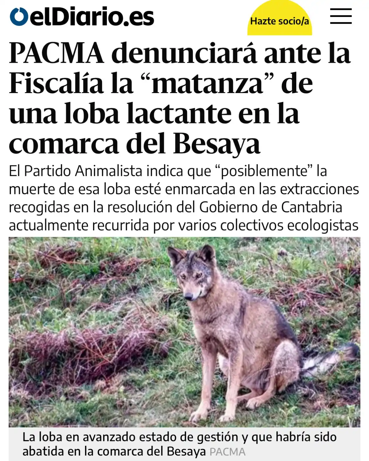 Image from PACMA: ❌Han matado a una loba justo después de que diera a luz. 🐺Han dejado...