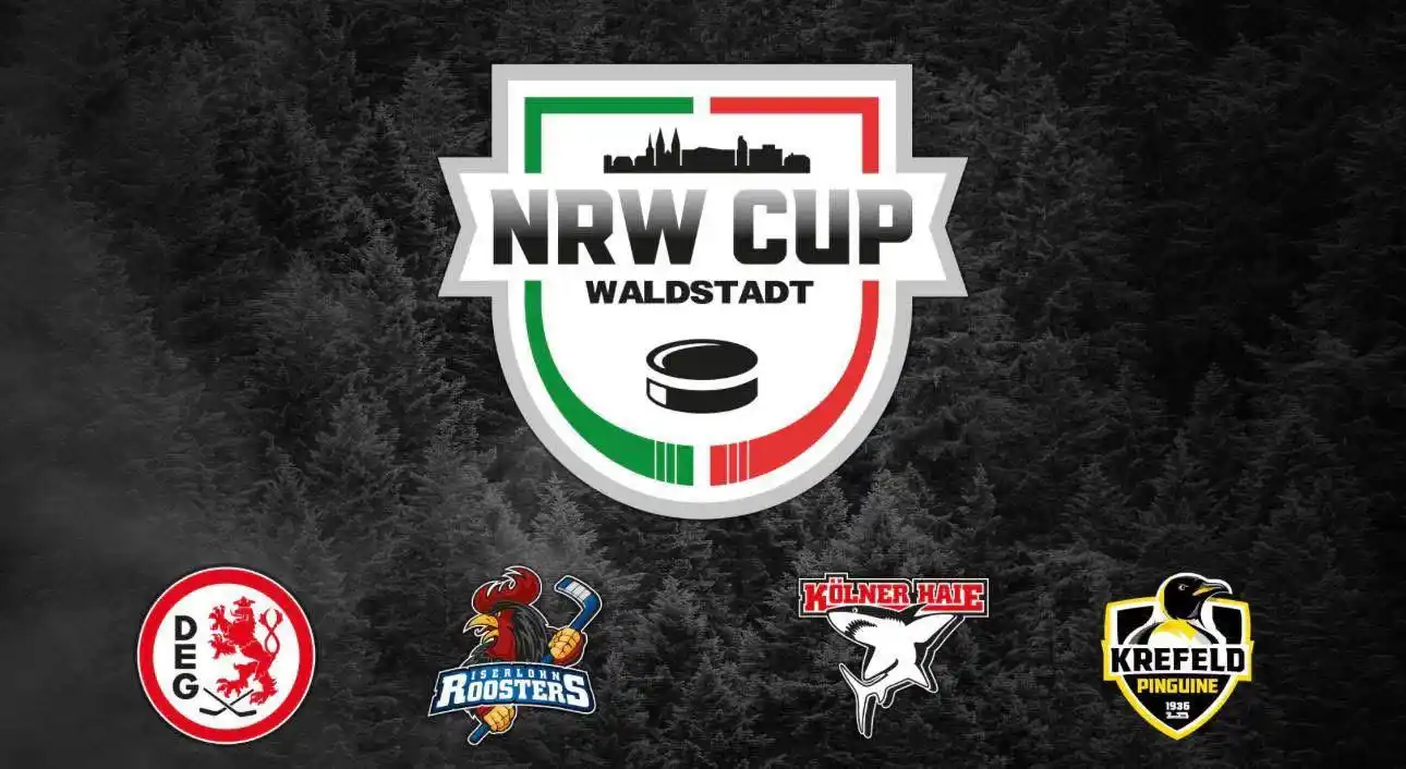 Fanbeauftragte Düsseldorfer EG post