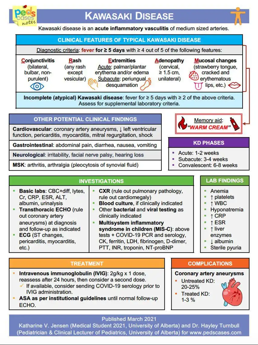 Image from Medicina Basada En Evidencia⚕️: Kawasaki Disease 🦠...