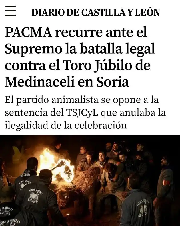 Image from PACMA: 📃Llevamos el Toro Júbilo al Tribunal Supremo. Es ilegal, por mucho qu...