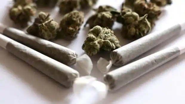 Image from RTL Lëtzebuerg: *Nationalen Drogerapport: Cannabis bleift déi beléiftsten Drog am Gran...