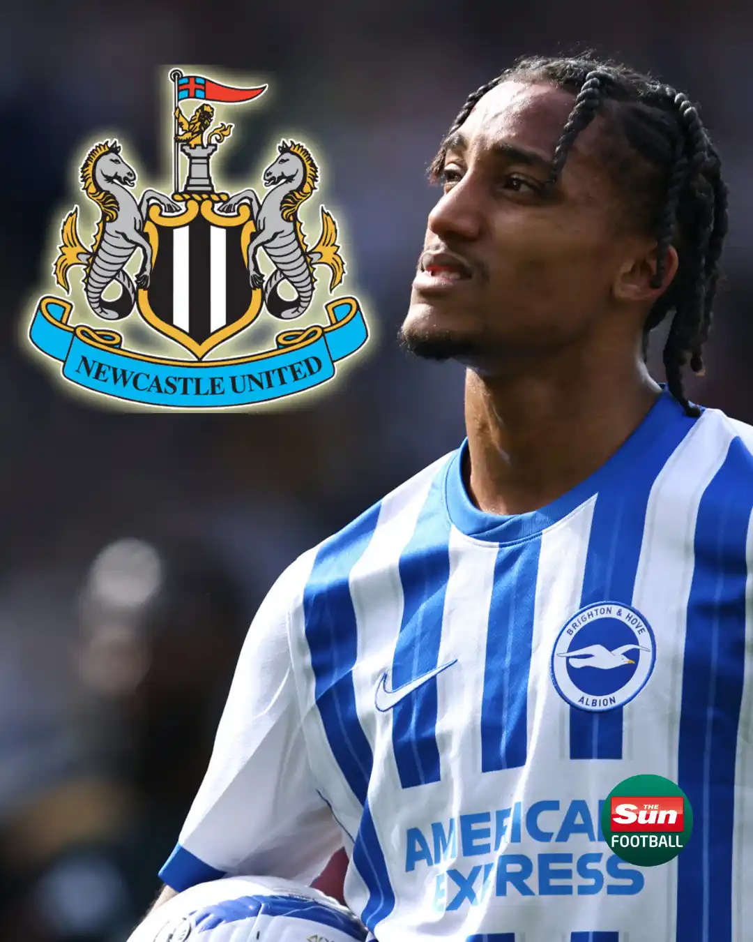 Image from The Sun - Newcastle United: Newcastle set to open talks with Brighton over £60million Joao Pedro t...