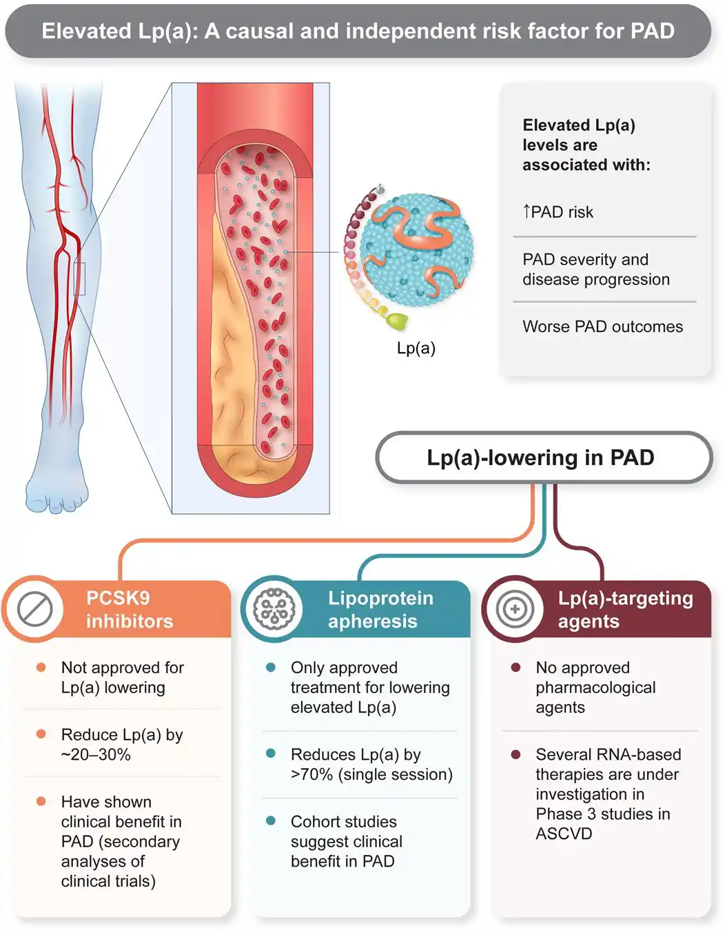Image from Medicina Basada En Evidencia⚕️: Nueva revisión sobre la asociación entre Lp (a) y enfermedad arterial ...