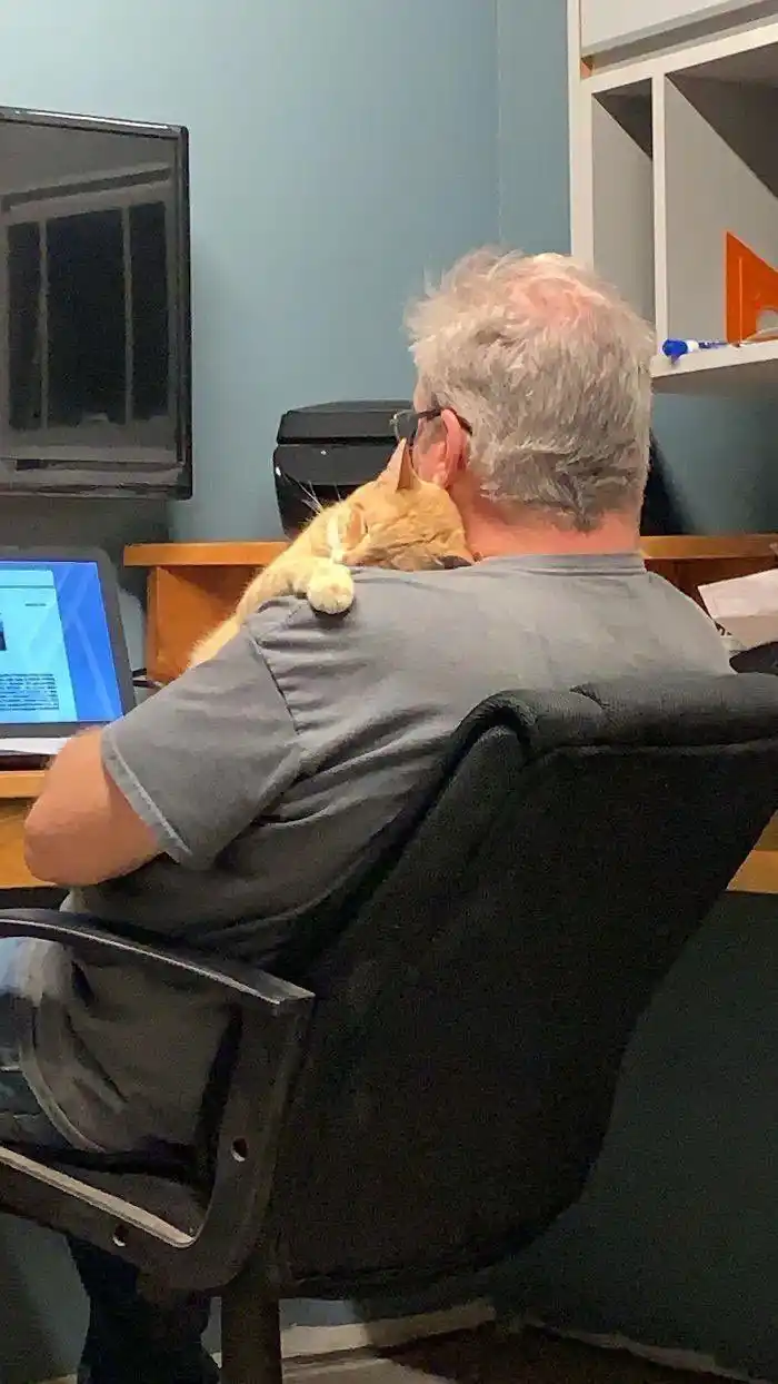 Image from Ferhat Şaşkın: O kedi bu eve giremez diyen babaların son hali...
