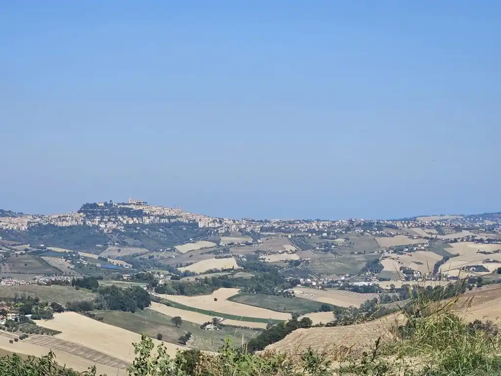 Cronache Fermane post