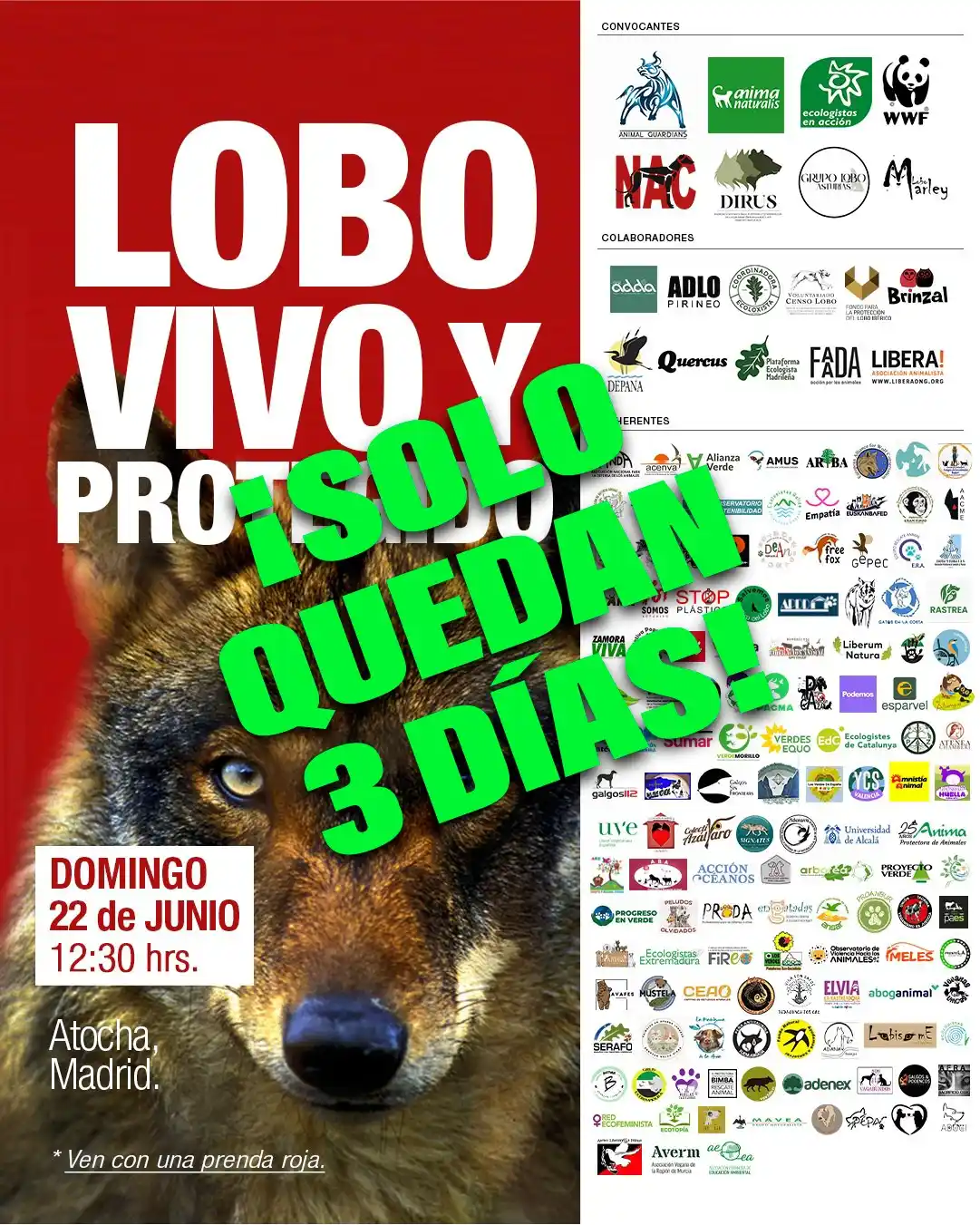 Image from PACMA: 📅¡Solo quedan 3 días! 🐺El domingo en Madrid contamos contigo para d...