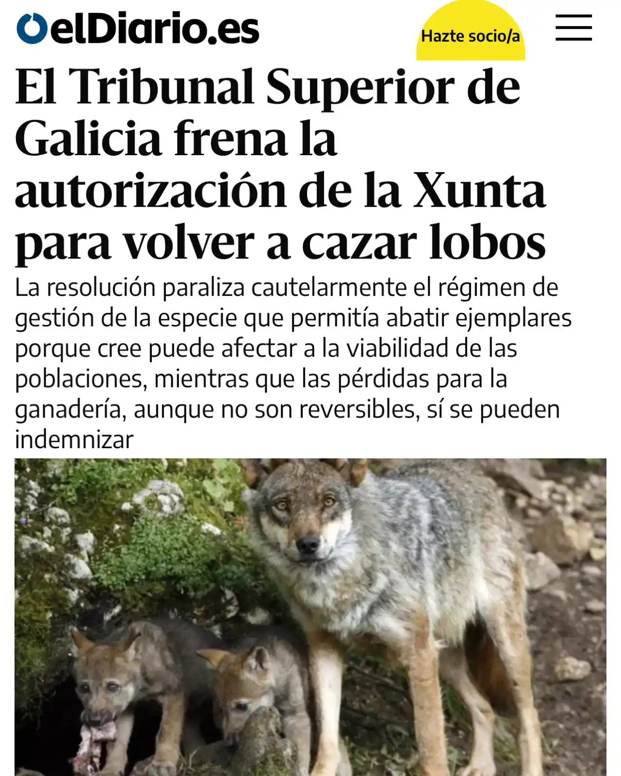 Image from PACMA: 🙌Victoria a favor del lobo en Galicia 💪. Tenemos que seguir luchando...