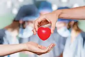 Image from گفتارنو| اخبار کرمان و ایران: 🔹اهدای کبد مرد ۵۶ ساله، نجات دهنده زندگی یک بیمار شد  🔺کبد مرحوم خسر...