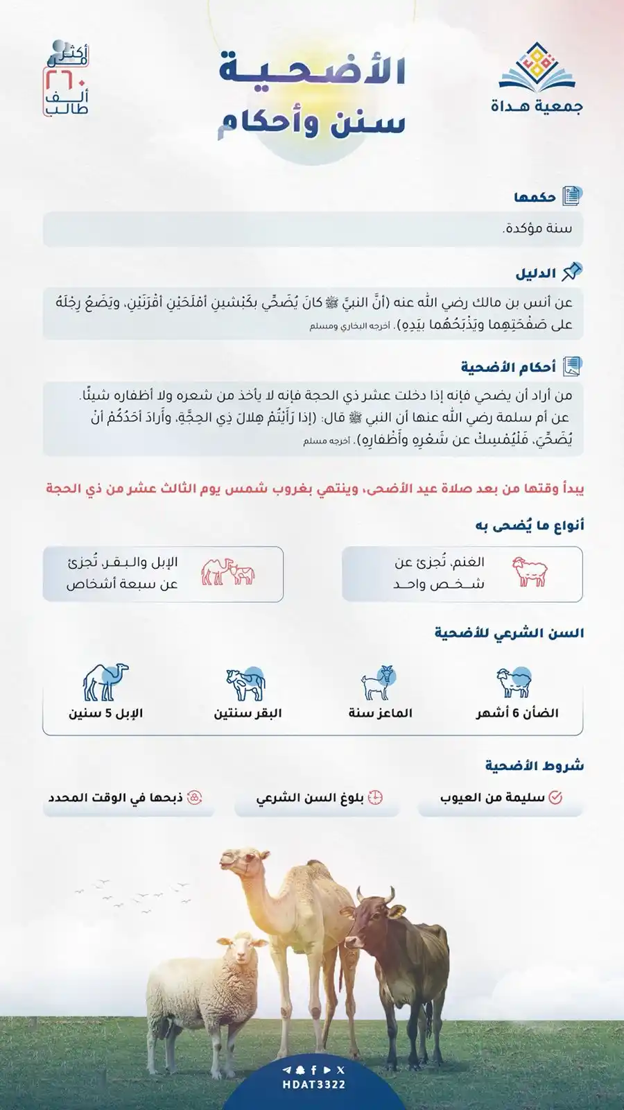 Image from جمعية هداة: *الأضحية سنن وأحكام،،*💡 <a class="text-blue-500 hover:underline curs...