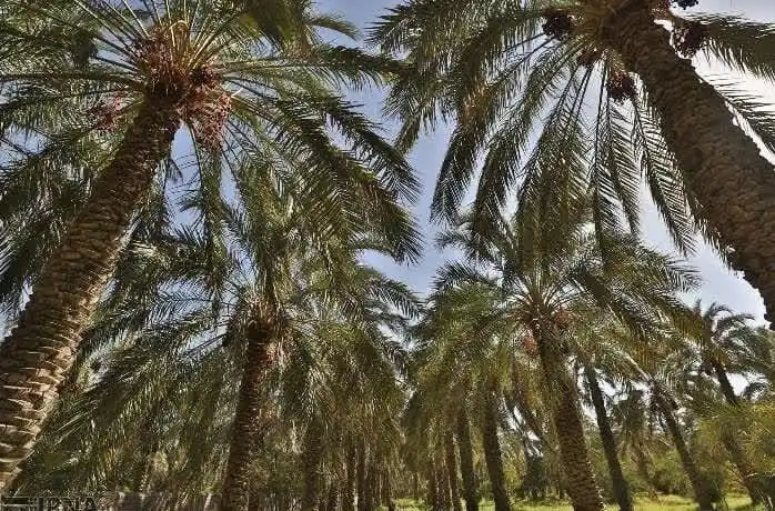 گفتارنو| اخبار کرمان و ایران post