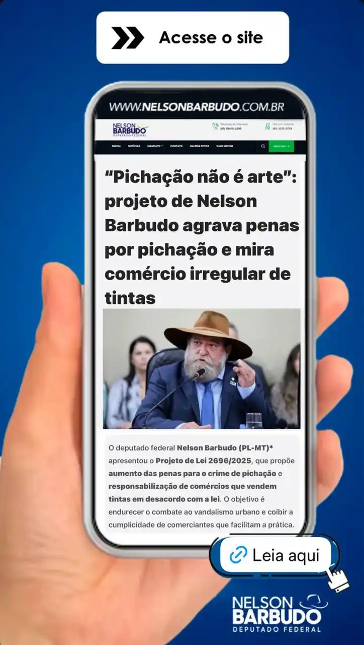 Image from Nelson Barbudo: 🚨 *PICHAÇÃO NÃO É ARTE!* O deputado federal Nelson Barbudo (PL-MT) a...
