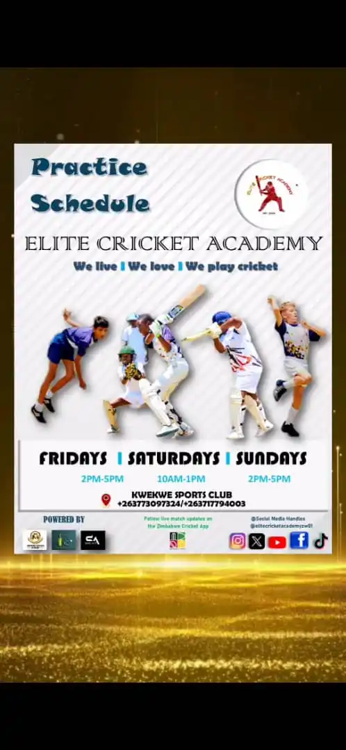 Elite Cricket Academy post