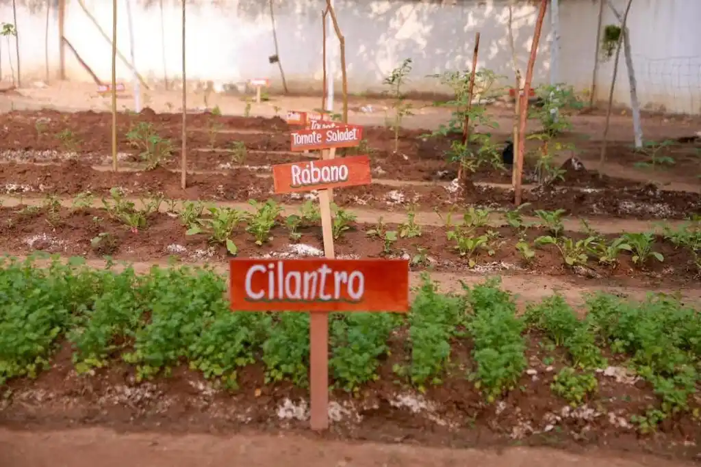 Image from El Tabasqueño: 🌿 ¿Sabías que en Centro, Tabasco, hay escuelas donde los niños aprend...