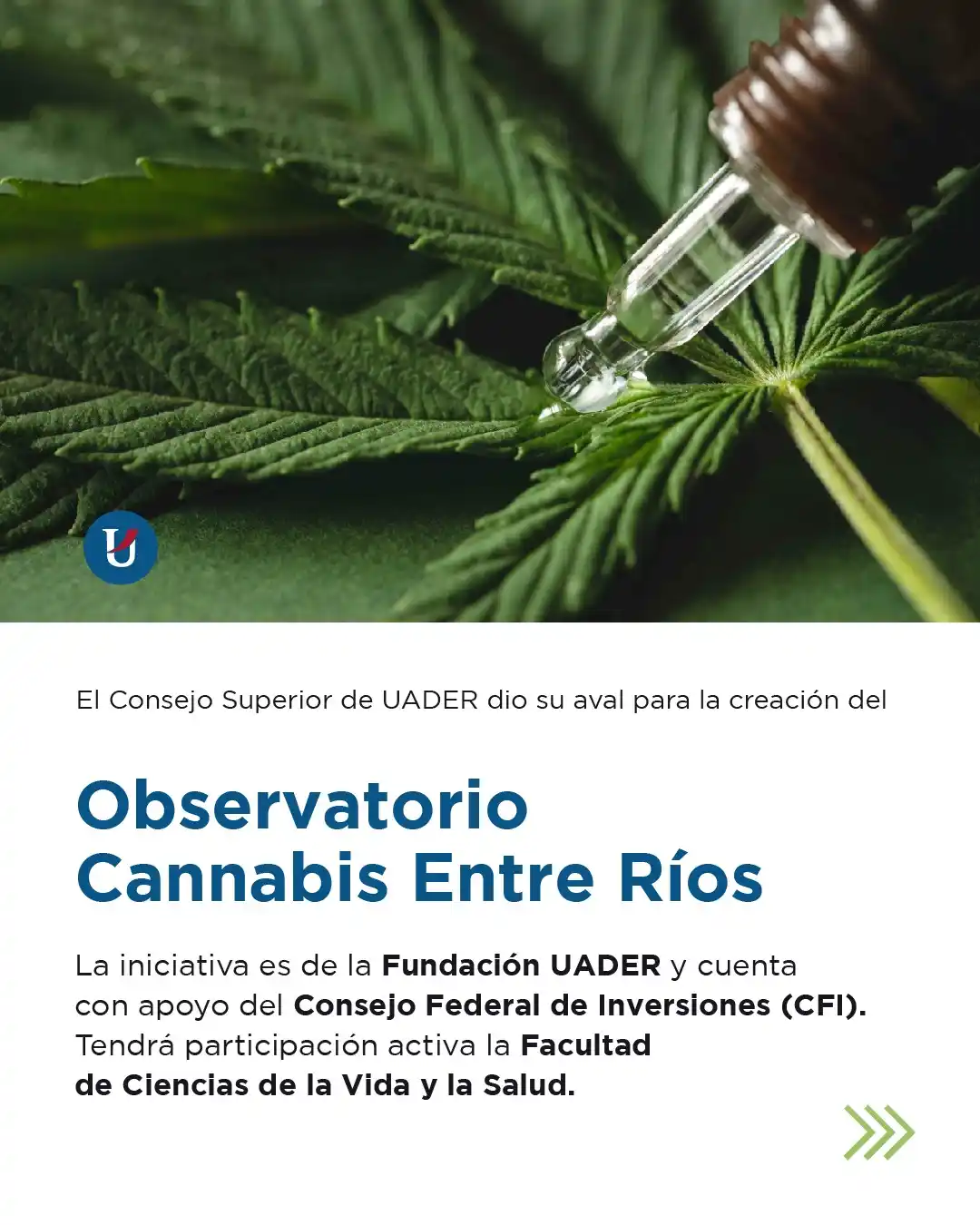 Image from UADER: *Se pone en marcha en el ámbito de UADER el Observatorio Cannabis Entr...
