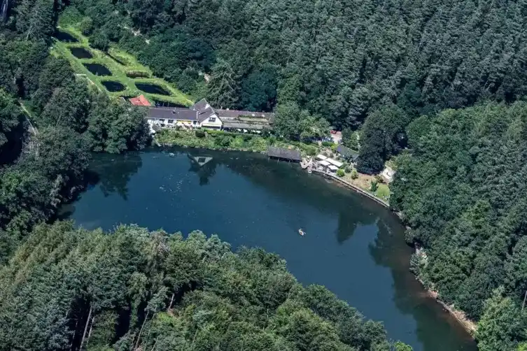 Image from Die RHEINPFALZ : 🍇🍷*Ab über den Rhein: Die Lieblingsplätze von Mannheimern in der Pfa...