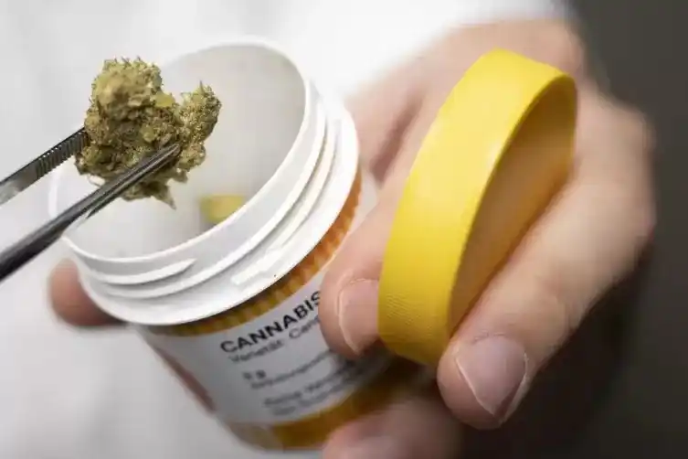 Image from Die RHEINPFALZ : 💶🚬 *Cannabis auf Rezept: Krankenkasse will 850.000 Euro zurück* Eine...