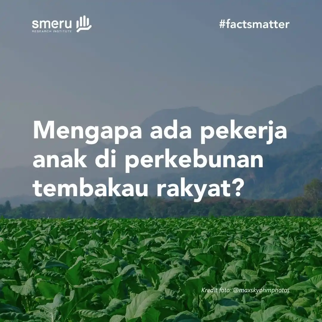 Image from The SMERU Research Institute: Dalam rangka memperingati <a class="text-blue-500 hover:underline curs...