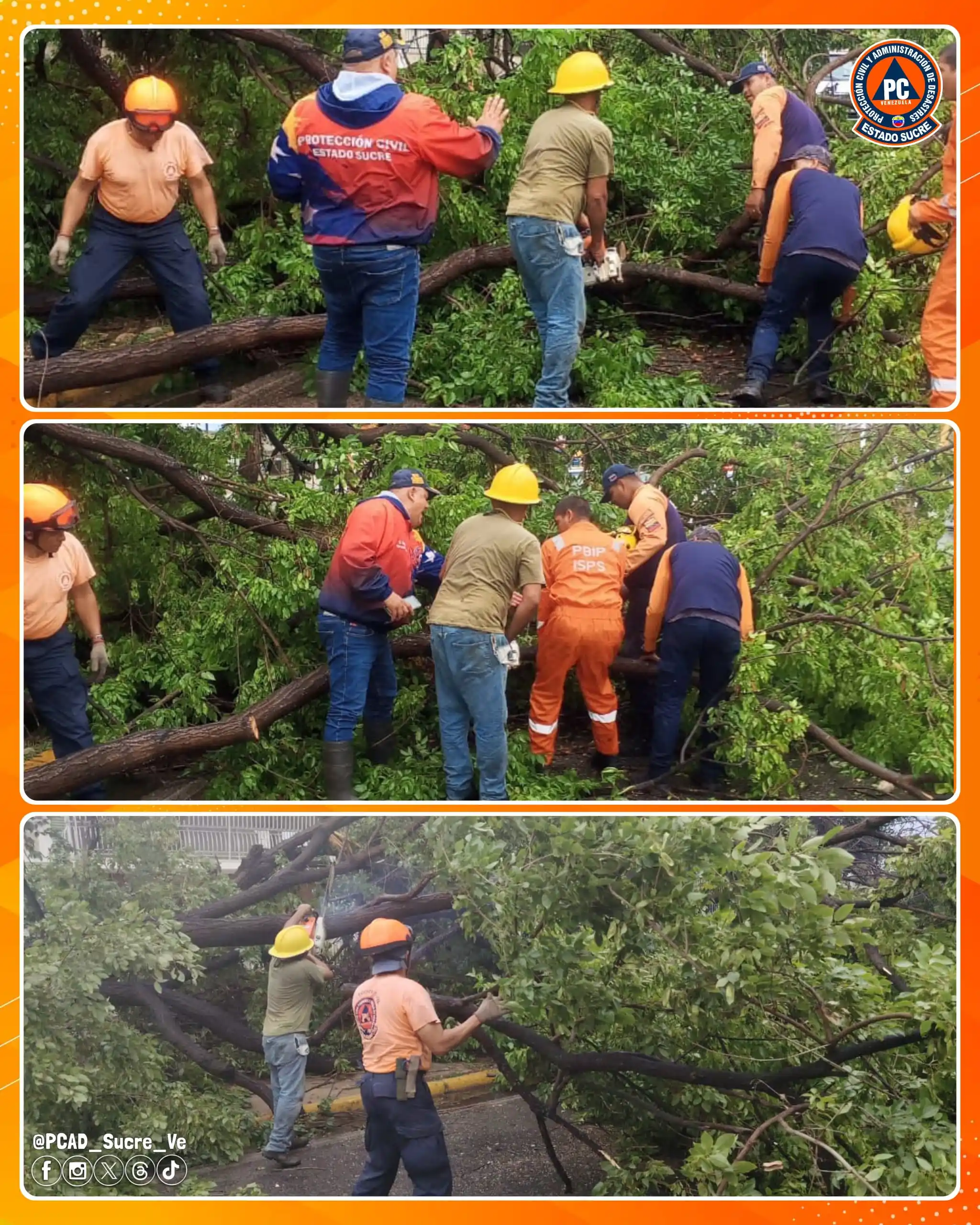 Image from @PCAD_Sucre_Ve: 📸 | En la Av. Gran Mariscal de Cumaná, *municipio Sucre*, nuestros fu...