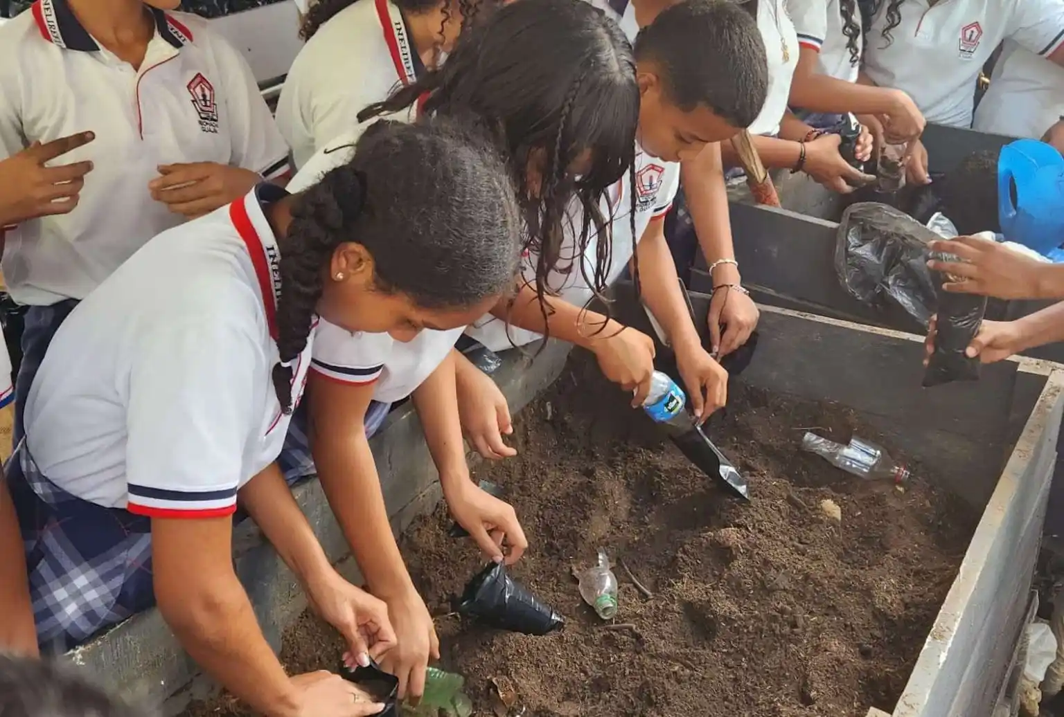 Image from La Guajira Hoy: 🌱 Estudiantes de la I.E. Livio Reginaldo Fischione en Riohacha cultiv...