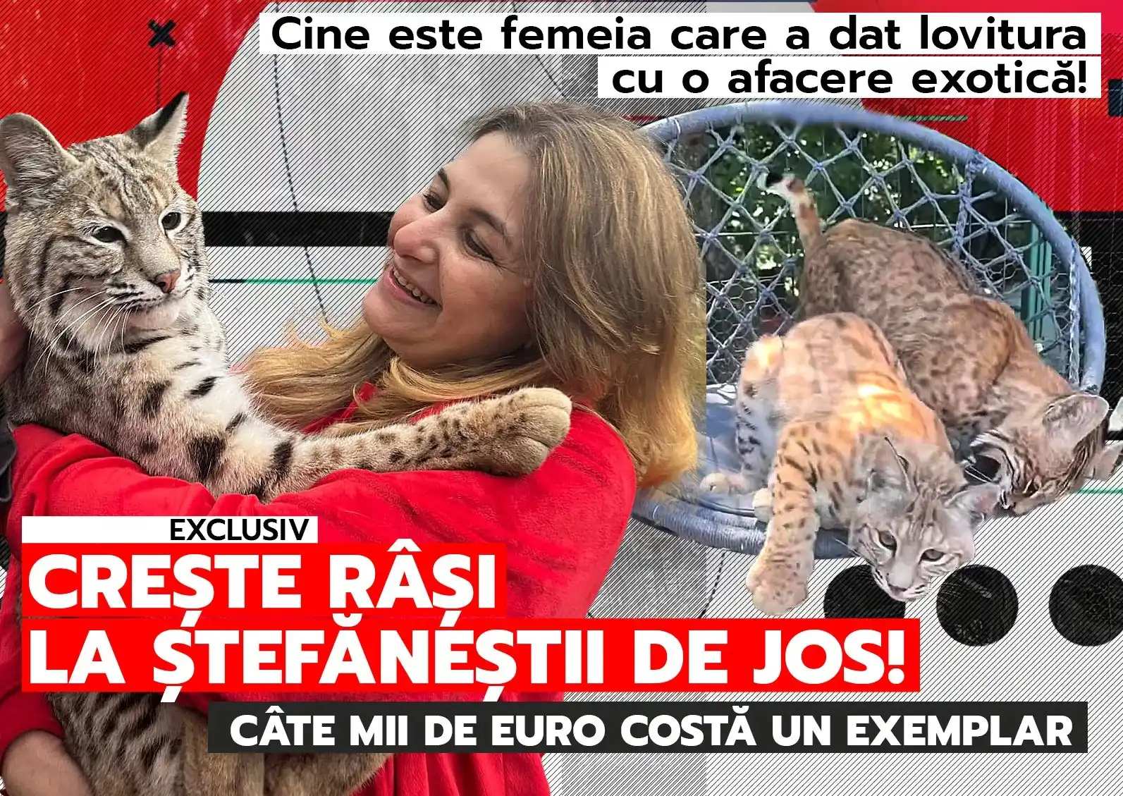 Image from CANCAN: EXCLUSIV | Cu ce afacere exotică a dat lovitura o româncă. Crește râși...