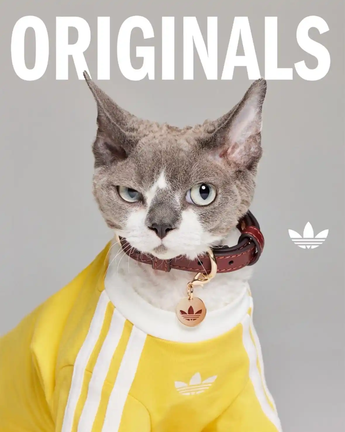 Image from Reason Why: 📝 ¡Hola, hola!   *HOY DESTACAMOS* > Adidas Originals lanza una colecc...
