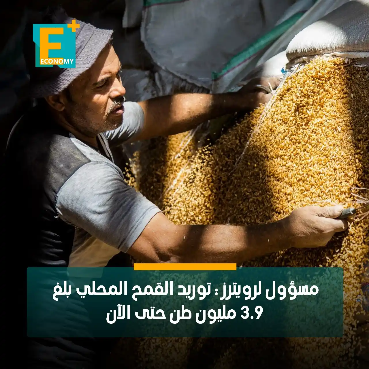 Image from Economy Plus إيكونومي بلس: قال أحمد عصام، رئيس قطاع الخدمات بوزارة الزراعة المصرية، لوكالة رويترز...