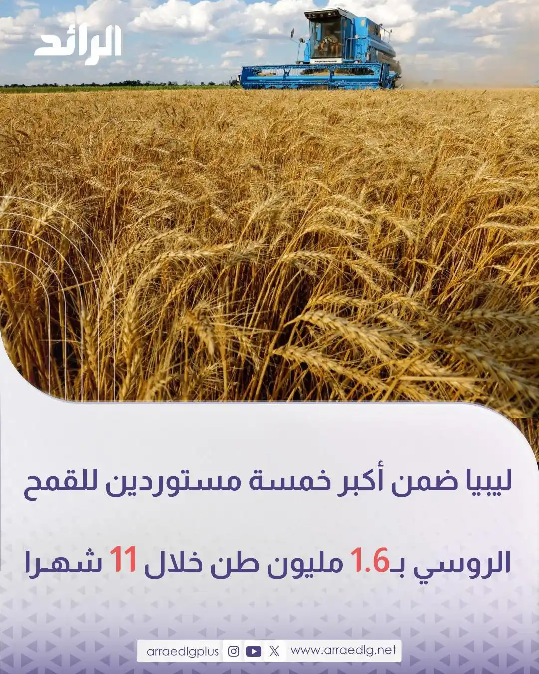Image from شبكة الرائد الإعلامية: كشف المركز التحليلي لشركة "روساغروترانس"الروسية أن ليبيا استوردت 1.601...
