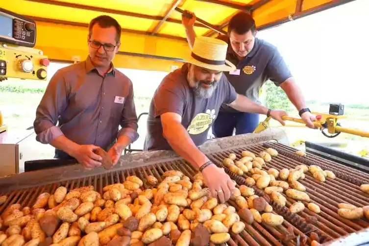 Image from Die RHEINPFALZ : 🥔🏆 *Landwirte starten in die Frühkartoffelernte* Am Mittwoch begann ...
