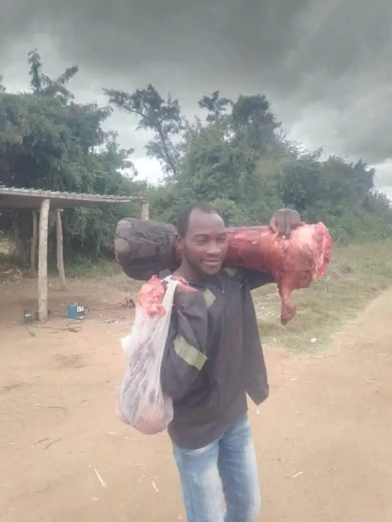 Image from Afrogazette News: *Zondo reNzou😅 |* In Ward 21 of Chiredzi, especially in Pore Pore and...