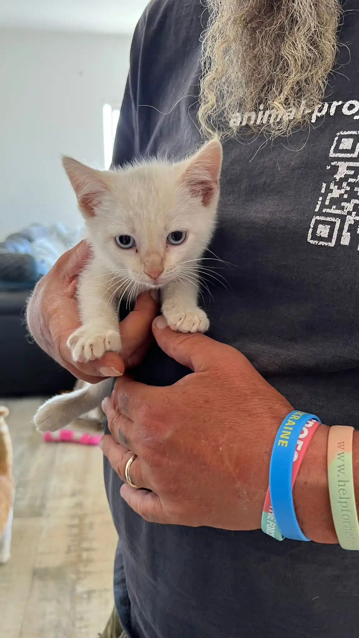 Image from EL CAPITÁN animal project e.V.: Zurück von der heutigen Katzenrunde trafen dann unsere Helfer Linda & ...