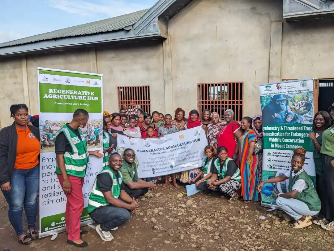 Image from The Guardian Post Daily: Buea-based biodiversity conservation and sustainable development nonpr...