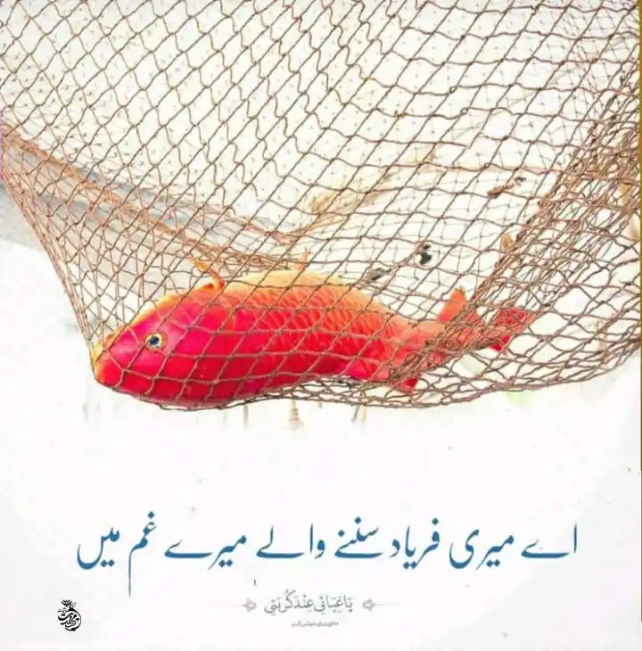 🕋مہدویت (ع) امید بشریت🕋 post